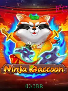 Descubra o Inovador Mundo de NinjaRaccoon